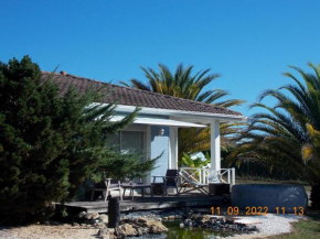 Maison authentique avec spa près de Dax et son jardin